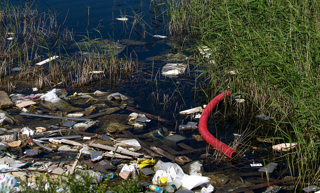 Watching waste in waterways