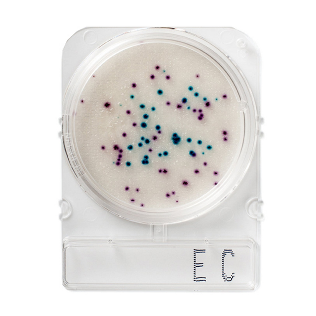 Compact Dry Plates - E-Coli & Coliform (EC)